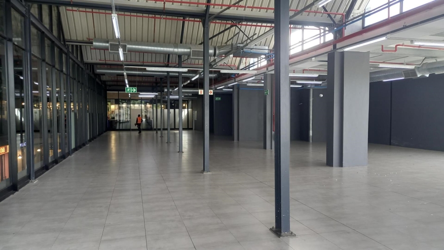 To Let commercial Property for Rent in Plumstead Western Cape